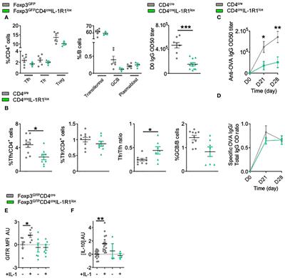 Interleukin-1 regulates follicular T cells during the germinal center reaction